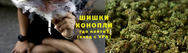 ГАЛЛЮЦИНОГЕННЫЕ ГРИБЫ Балабаново