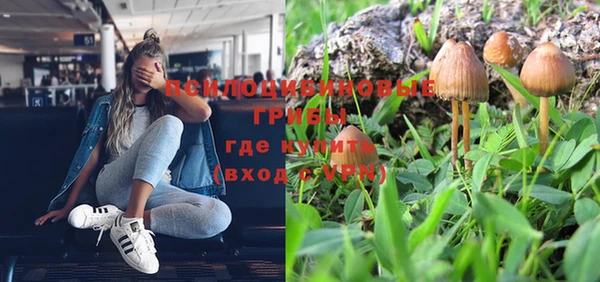 ГАЛЛЮЦИНОГЕННЫЕ ГРИБЫ Балабаново